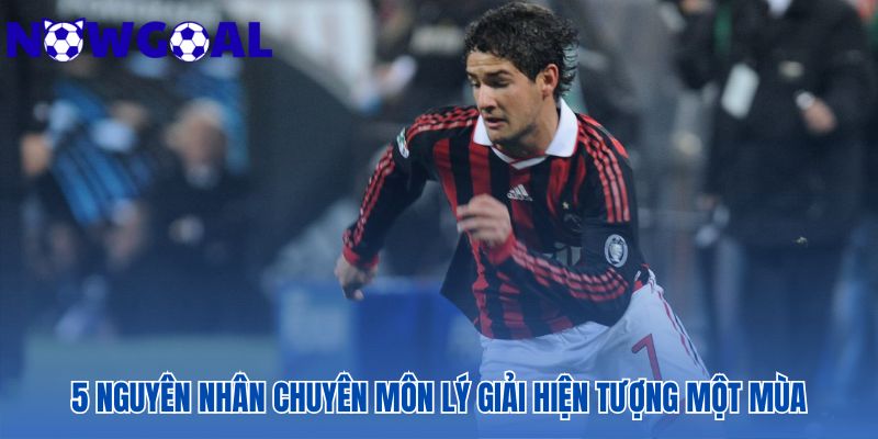 Các nguyên nhân chuyên môn lý giải sự nghiệp vụt sáng rồi tắt