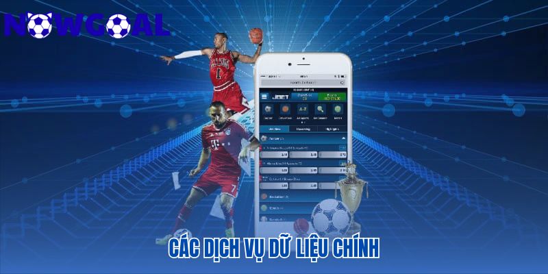 Dịch vụ dữ liệu gồm tỷ số trực tuyến và thống kê toàn cảnh